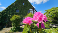 Eingangsbereich - Ein Paradies für Kinder Haus Pool, Wintergarten, Loungebereich, Grundstück teilbar, SG ausbaufähig