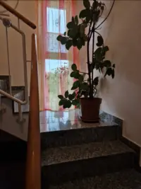 Treppe