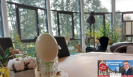 Ausblick - PROVISIONSFREI!! ** BellaCasa Wohnen & Arbeiten am Wiesengrund** 266 m² Wfl/Nfl.
