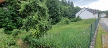 Herrliches Baugrundstück zwischen Nürnberg und Neumarkt, ca. 950m² für Ihr Traumhaus!, 90559 Burgthann / Schwarzenbach, Wohngrundstück