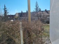 Ausblick