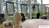 Ausblick - PROVISIONSFREI!! ** BellaCasa Wohnen & Arbeiten am Wiesengrund** 266 m² Wfl/Nfl.Genießen Sie Ausblick ins Grüne