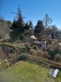 Ausblick