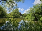 Blick vom GS auf Weiher_b - Herrliches Baugrundstück im fränkischen Seenland am See! Ab ca. 425m² für Ihr Traumhaus!