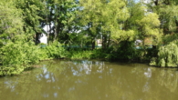 Blick vom Weiher auf GS-Ufer - Herrliches Baugrundstück im fränkischen Seenland am See! Ab ca. 425m² für Ihr Traumhaus!