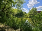 Blick vom GS auf Weiher_a - Herrliches Baugrundstück im fränkischen Seenland am See! Ab ca. 425m² für Ihr Traumhaus!