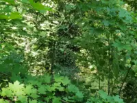 Blick auf die Rednitz