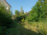 Seitenansicht