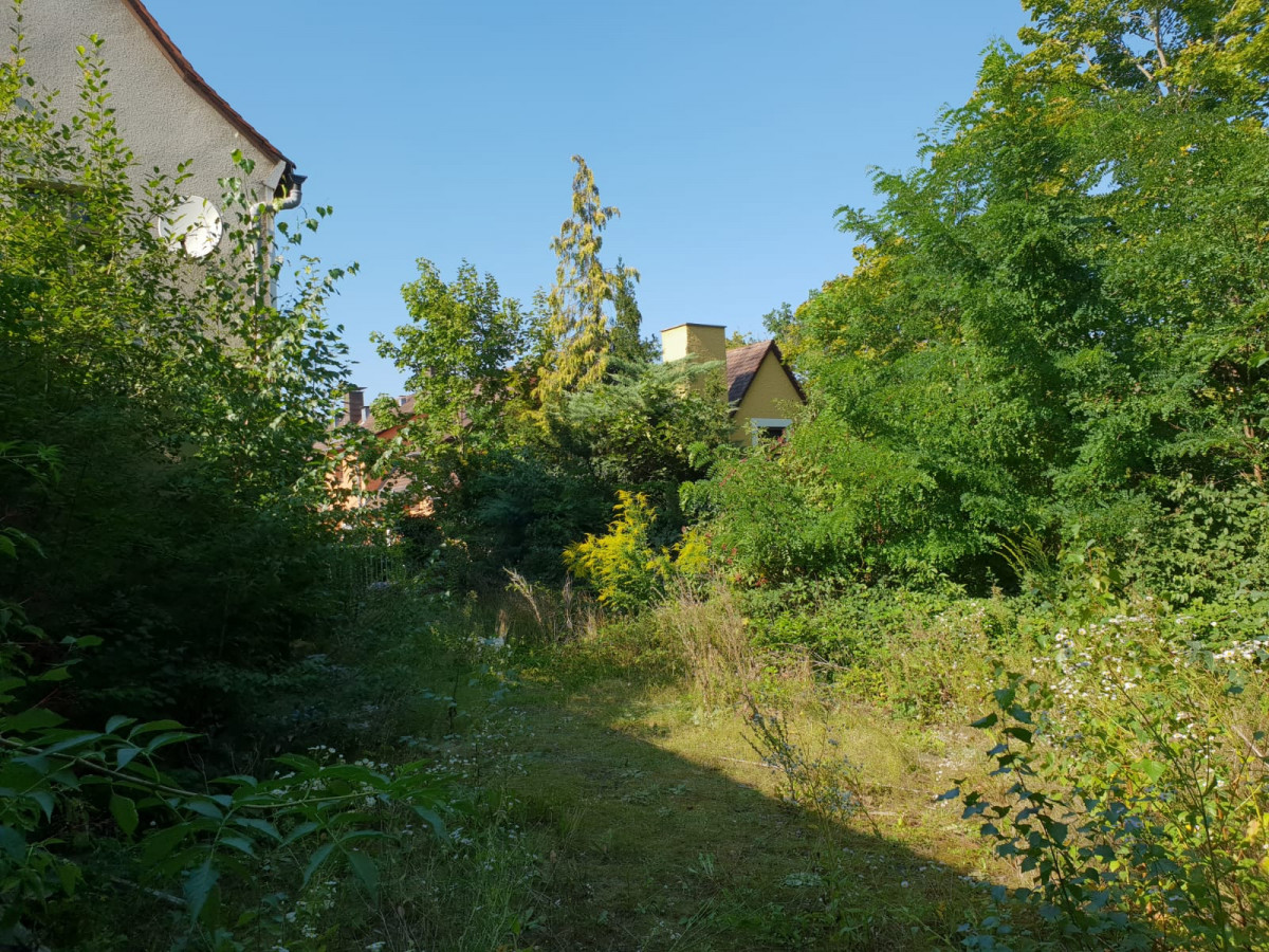 Seitenansicht