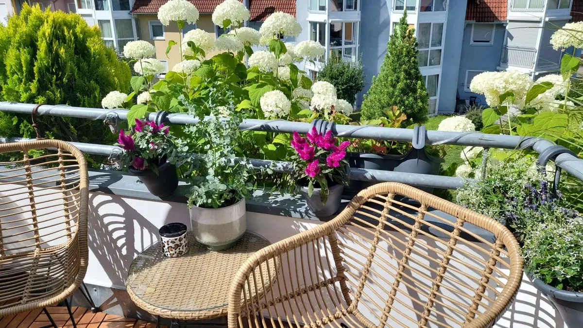 Balkon