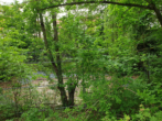 Garten Schwimmteich - VERKAUFT!!! Ein Paradies mit viel Platz für Wohnen, Hobbys, Arbeit