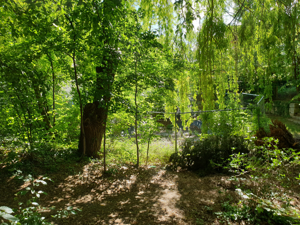 Garten