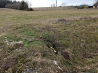 Wiese, Weidefläche, Acker