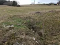 Wiese, Weidefläche, Acker