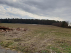 Wiese, Weidefläche, Acker - VERKAUFT!!! Landwirtschaftliche Fläche Streuobstwiese, Weiher in Allersberg Ortsteil