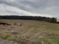 Wiese, Weidefläche, Acker