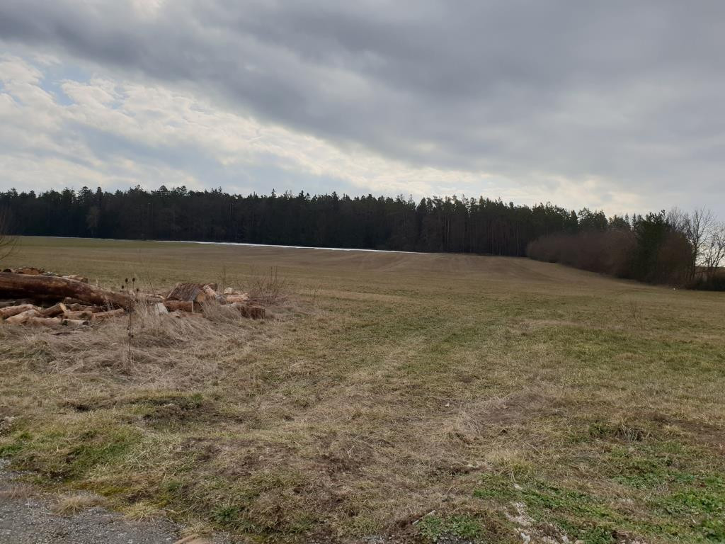 Wiese, Weidefläche, Acker