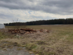 Wiese, Weidefläche, Acker - VERKAUFT!!! Landwirtschaftliche Fläche Streuobstwiese, Weiher in Allersberg Ortsteil