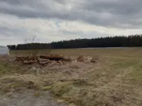 Wiese, Weidefläche, Acker