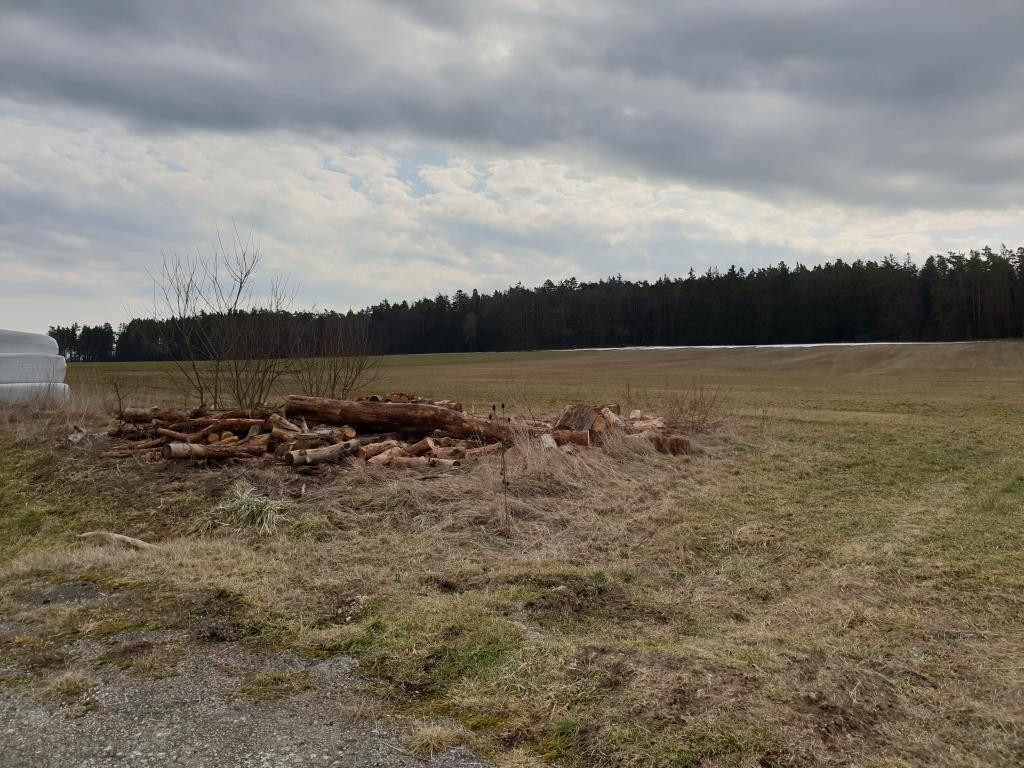 Wiese, Weidefläche, Acker