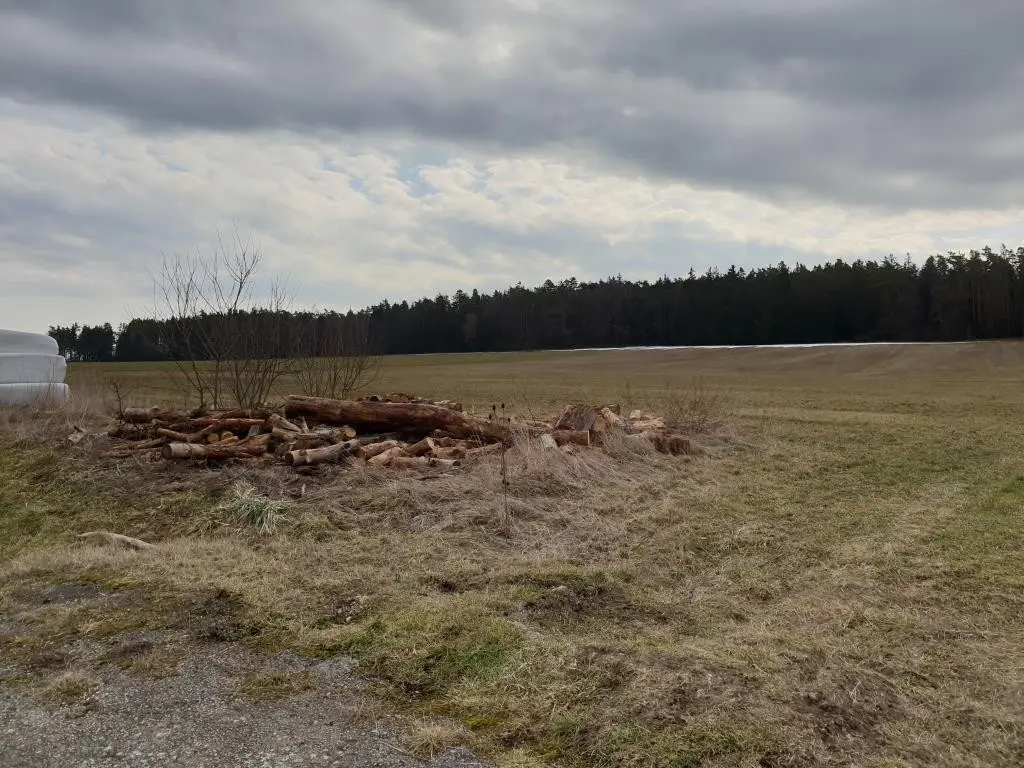 Wiese, Weidefläche, Acker