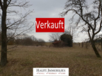 Ansicht - VERKAUFT!!! Landwirtschaftliche Fläche Streuobstwiese, Weiher in Allersberg Ortsteil