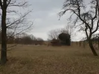 Streuobstwiese
