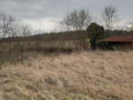 Weiher mit Hütte - VERKAUFT!!! Landwirtschaftliche Fläche Streuobstwiese, Weiher in Allersberg Ortsteil